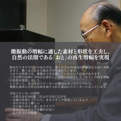 Teragakiが誇る世界最高峰スピーカー 最高音質 【TERRA-SP300 New Type】【1551315】