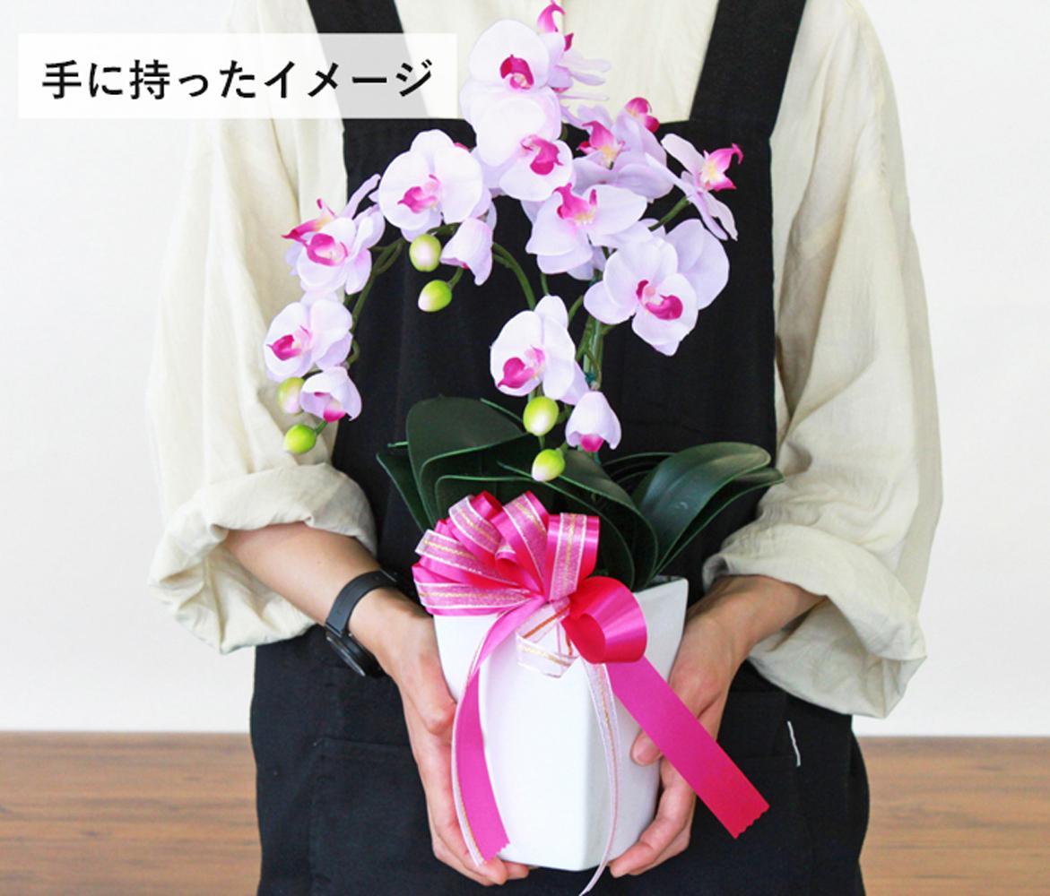 02 騾闃ア 繧キ繝ォ繧ッ繝輔Λ繝ッ繝シ縺ョ繝溘ョ繧」閭。陜カ陂ュ縺ョ驩「讀阪∴ 3譛ャ遶 CT隗ヲ蟐 繧、繧ィ繝ュ繝シ シ 縺願干 繧ウ繝√Ι繧ヲ繝ゥ繝ウ 蝓シ邇臥恁
