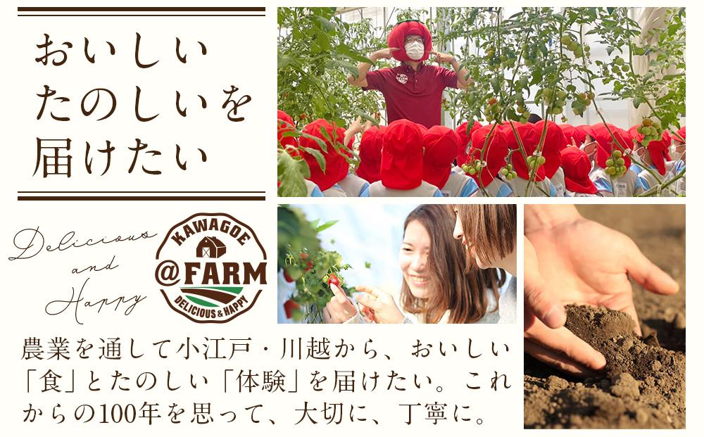 トマトジュース2本セット【プレミアムトマト、トマト】 ／ プレミアムトマトジュース とまと 野菜 埼玉県