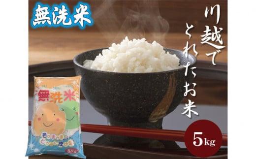 辟。豢礼アウ縲蟾晁カ翫〒縺ィ繧後◆縺顔アウ縲5kg シ 逋ス邀ウ 縺薙@縺イ縺九j 蠖ゥ縺ョ縺阪★縺ェ 蠖ゥ縺ョ縺九′繧縺 シ鍋ィョ鬘槭ヶ繝ャ繝ウ繝臥アウ縲蝓シ邇臥恁