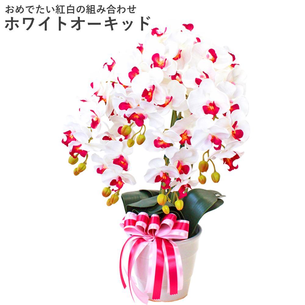 造花 シルクフラワーの胡蝶蘭の鉢植 5本立 CT触媒 ホワイトオーキッド ／ お花 コチョウラン 埼玉県