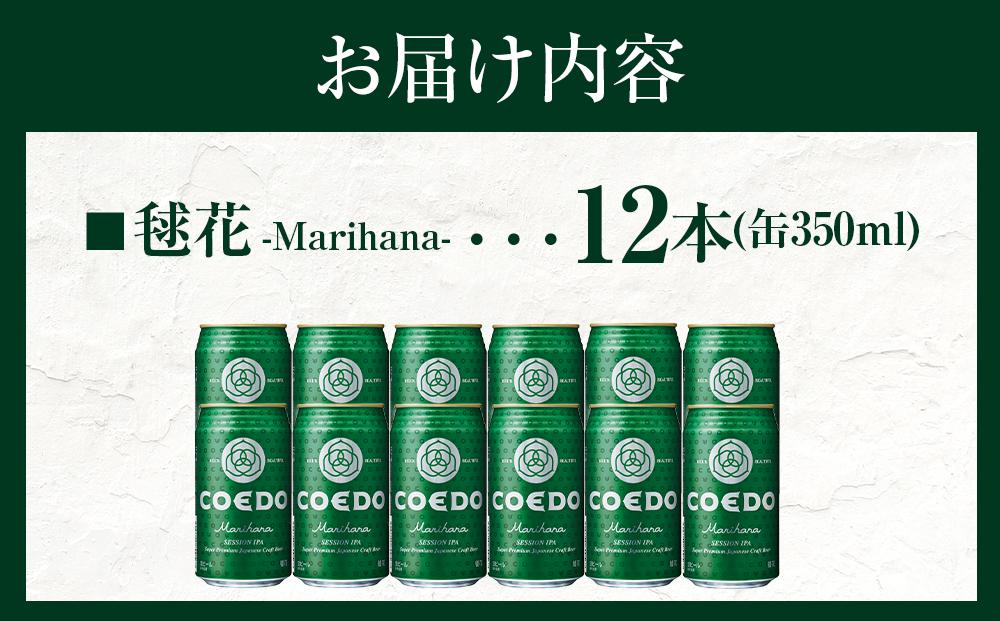 コエドビール　毬花-Marihana- 缶12本 ／ お酒 プレミアムピルスナービール 地ビール クラフトビール 埼玉県 特産品
