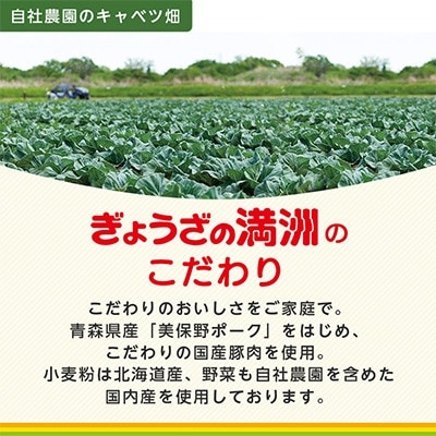 冷凍生餃子10パック(120個)　ぎょうざの満洲【配送不可地域：離島】【1541647】