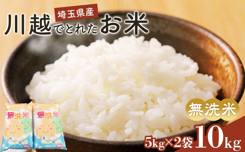 辟。豢礼アウ縲蟾晁カ翫〒縺ィ繧後◆縺顔アウ縲10kg シ 逋ス邀ウ 縺薙@縺イ縺九j 蠖ゥ縺ョ縺阪★縺ェ 蠖ゥ縺ョ縺九′繧縺 シ鍋ィョ鬘槭ヶ繝ャ繝ウ繝臥アウ縲蝓シ邇臥恁