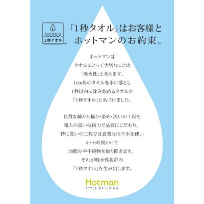 【お歳暮】ホットマン1秒タオル　フェイスタオル2枚ギフトセット【1527755】