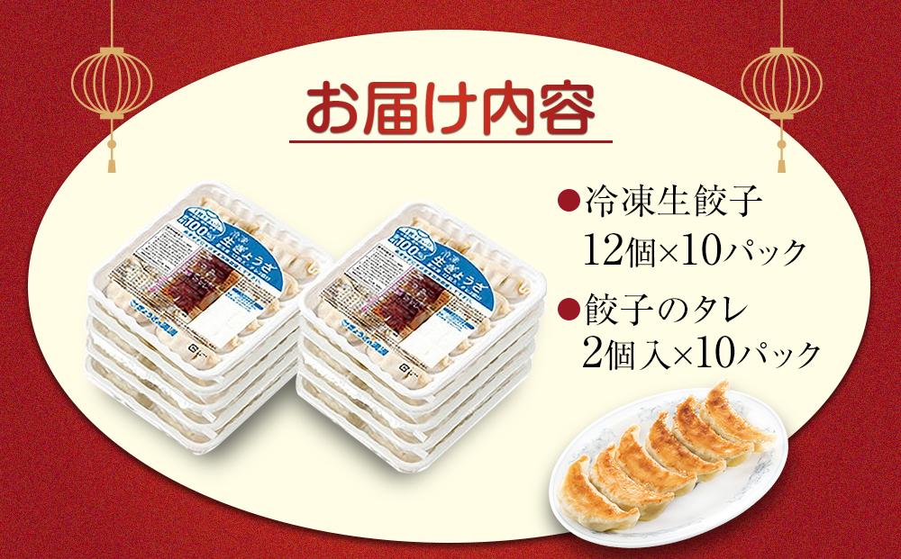 ããããã®æºæŽ² å·åçé€å10ããã¯(120å)