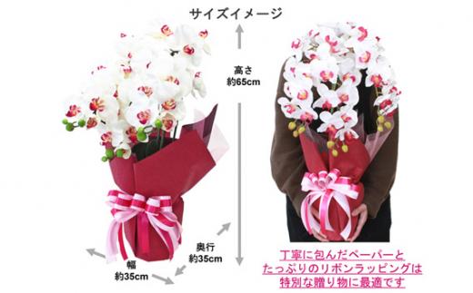 造花 シルクフラワーの胡蝶蘭の鉢植え 3本立 CT触媒 イエロー ／ お花 コチョウラン 埼玉県