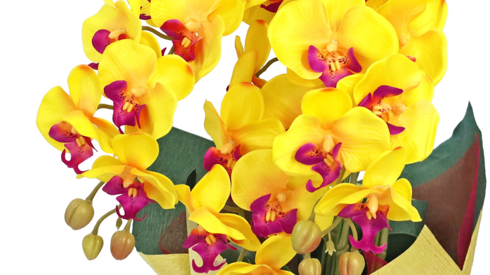 造花 シルクフラワーの胡蝶蘭の鉢植え 3本立 CT触媒 イエロー ／ お花 コチョウラン 埼玉県