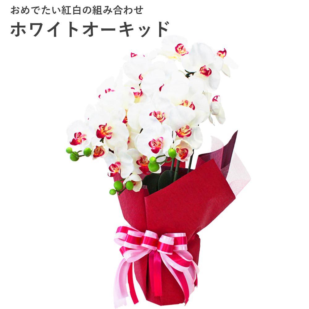 造花 シルクフラワーの胡蝶蘭の鉢植 3本立 CT触媒 ホワイトオーキッド ／ お花 コチョウラン 埼玉県