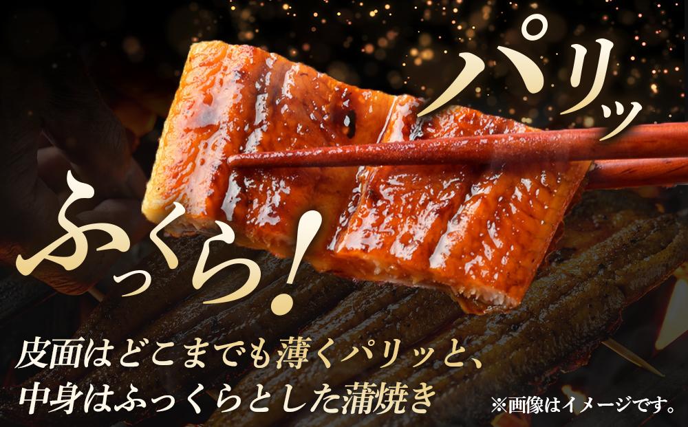 蟆丞キ晁所縺ョ縺縺ェ縺弱ョ闥イ辟シ縺 2蟆セ蛻 シ 魏サ 繧ヲ繝翫ぐ 蝓シ邇臥恁