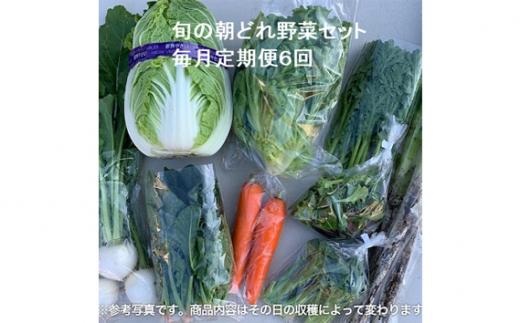 旬の朝どれ野菜セット×6回 ／ やさい 朝採れ 埼玉県