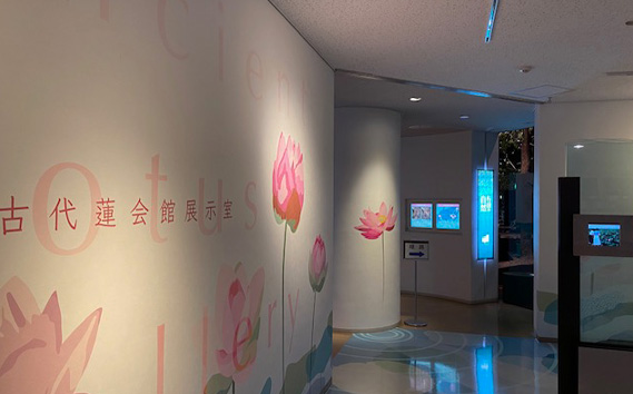 蜿、莉」闢ョ莨夐、ィ繝サ螟憺俣迚ケ蛻・髑題ウ槫虻縲懷ア墓悍螳、縺九i螟墓律縺ィ螟懈勹繧定イク蛻縺ァシ√ No.338