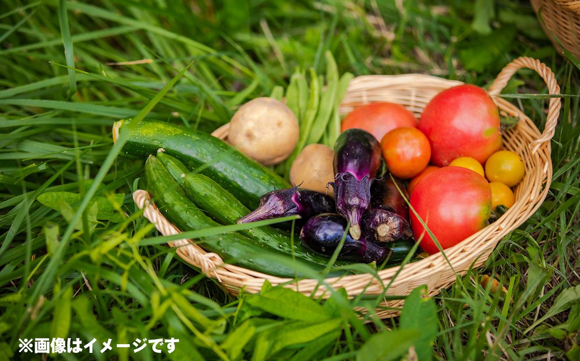 謗。繧後◆縺ヲシ∵眠魄ョ驥手除隧ー繧∝粋繧上○5遞ョ No.503