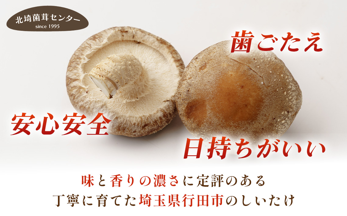 行田産こだわり生椎茸　約1.04kg No.004