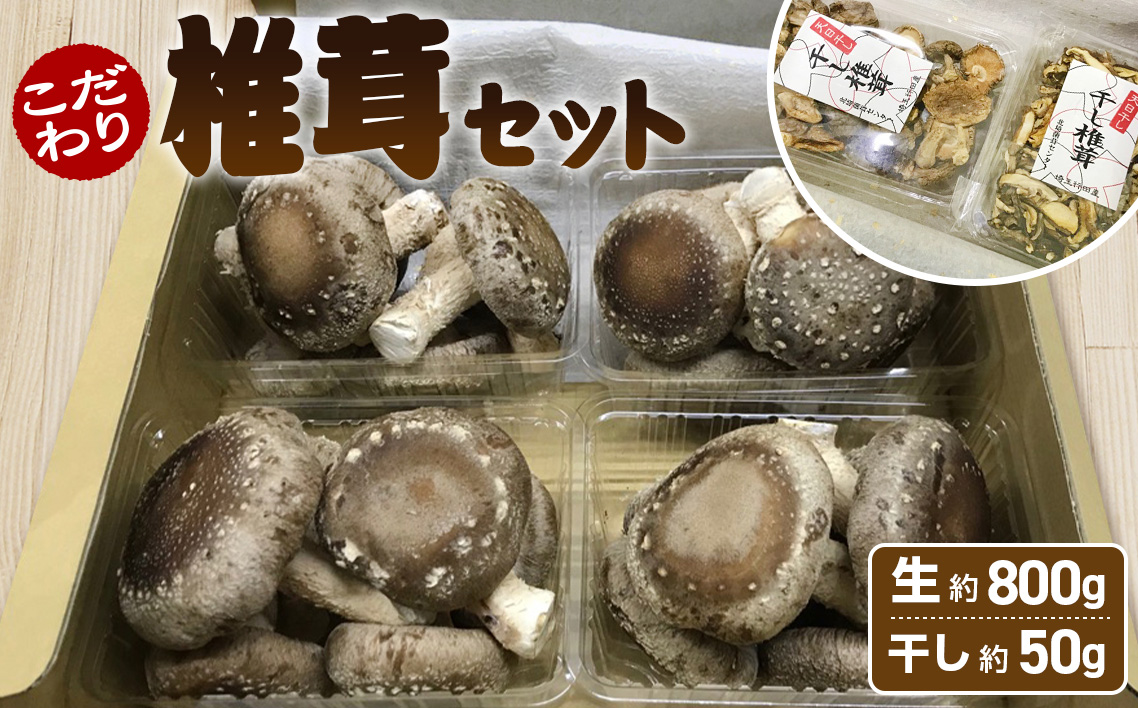 行田産こだわり椎茸セット（生椎茸・干し椎茸） No.005