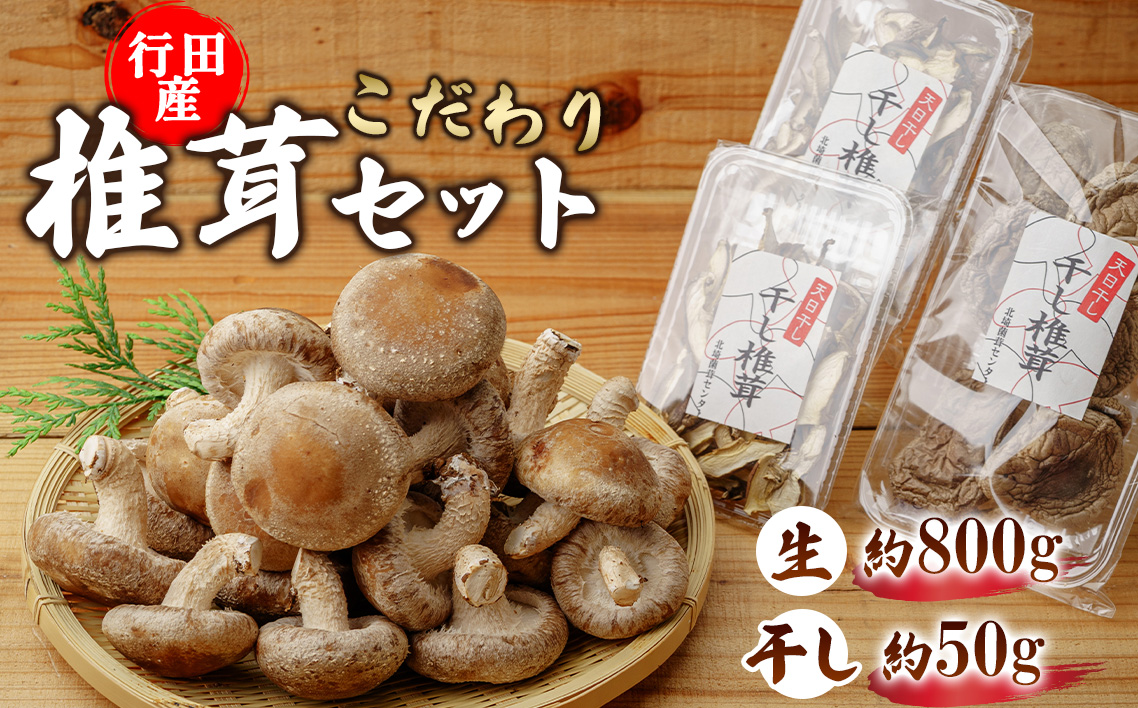 行田産こだわり椎茸セット（生椎茸・干し椎茸） No.005