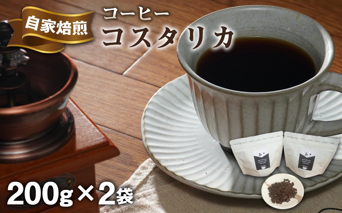 Shambre 自家焙煎コーヒー コスタリカ No.499