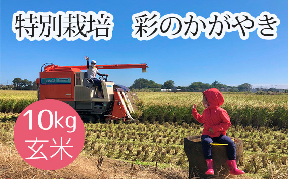 特別栽培　彩のかがやき　玄米10kg No.481