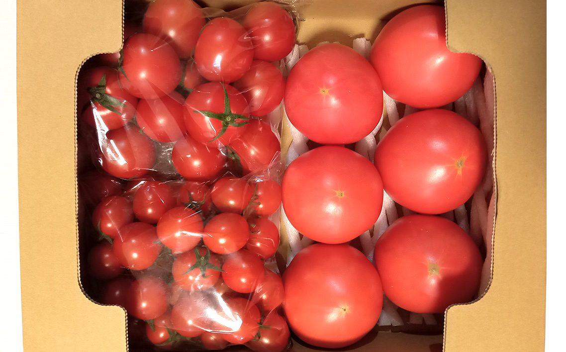 トマト いろいろ詰合せセット 1.8kg入り箱 No.508