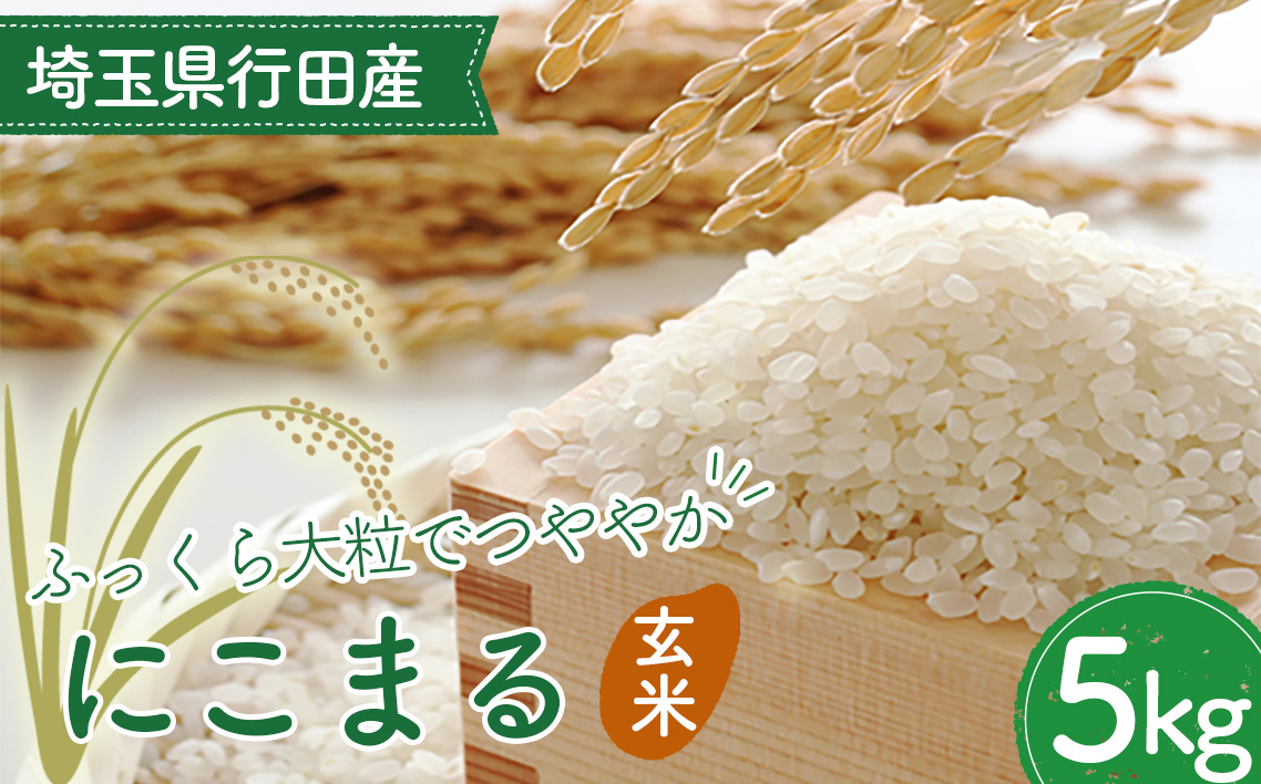 埼玉県行田産にこまる（玄米）5kg×1 ／ にこまる 玄米 5kg 特別栽培米 大粒 米 甘み 粘り 冷めても美味しい お弁当 おにぎり 毎日食べる米 健康志向 食感 粒立ち 埼玉県 No.518