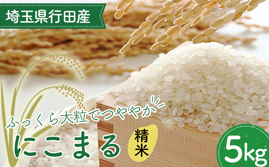 埼玉県行田産にこまる（精米）5kg×1 ／ にこまる 白米 精米 5kg 特別栽培米 大粒 米 甘み 粘り 精米したて 冷めても美味しい お弁当 おにぎり 毎日食べる米 粒立ち 埼玉県 No.519