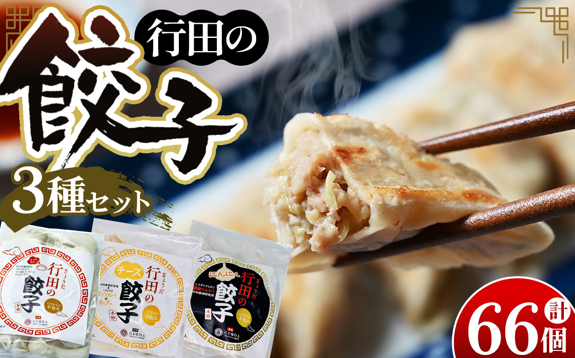 人気の定番「行田の餃子」3種セット No.417