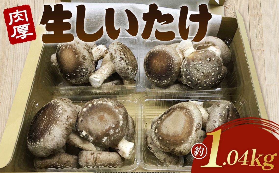 行田産こだわり生椎茸　約1.04kg No.004