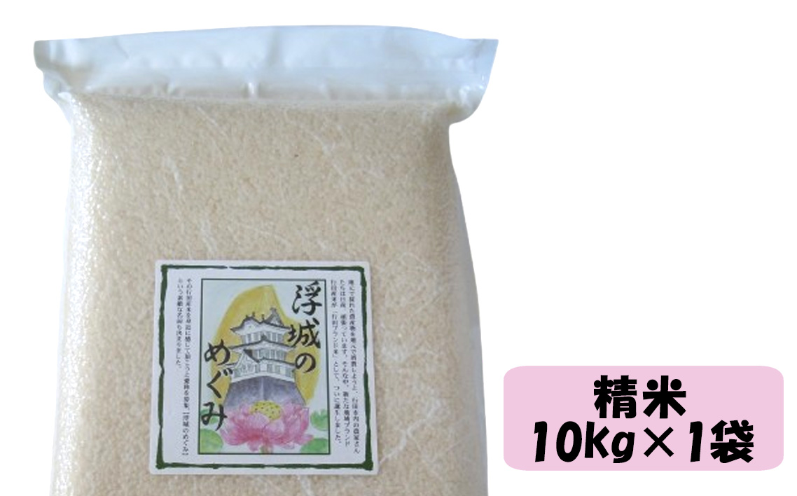行田のお米　忍城献上米10kg［むかさ商店］ No.049