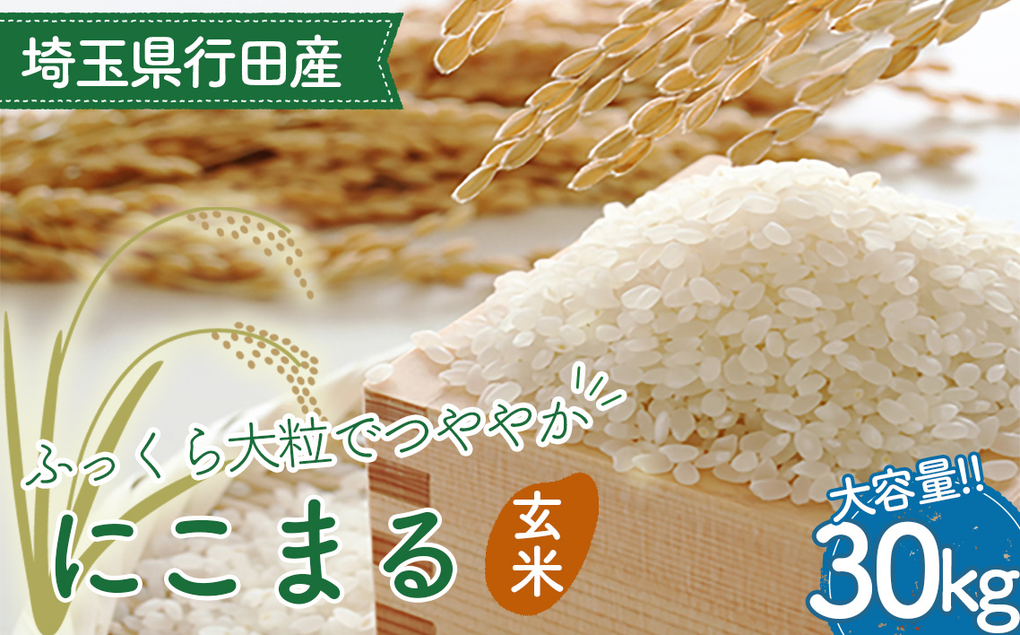 埼玉県行田産にこまる（玄米）30kg×1 ／ にこまる 玄米 30kg たっぷり 大容量 たくさん ボリューム 特別栽培米 大粒 米 甘み 粘り 冷めても美味しい お弁当 おにぎり 毎日食べる米 健康志向 食感 粒立ち 埼玉県 No.523
