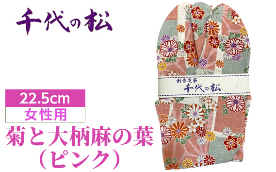 菊と大柄麻の葉（ピンク）（女性用：22.5cm） No.371-05