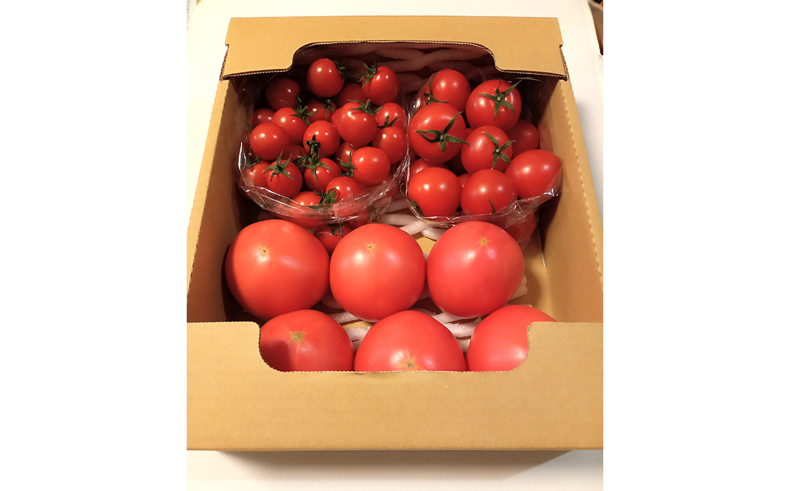 トマト いろいろ詰合せセット 1.8kg入り箱 No.508