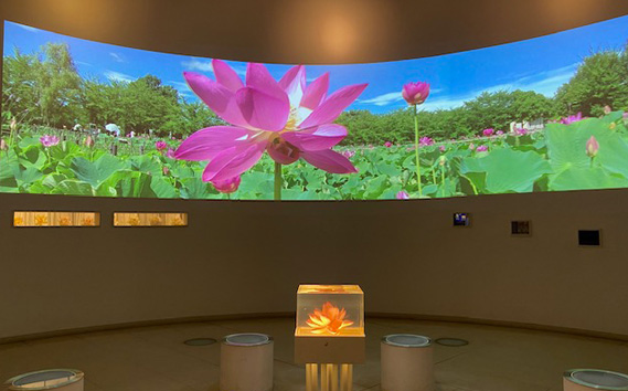 蜿、莉」闢ョ莨夐、ィ繝サ螟憺俣迚ケ蛻・髑題ウ槫虻縲懷ア墓悍螳、縺九i螟墓律縺ィ螟懈勹繧定イク蛻縺ァシ√ No.338