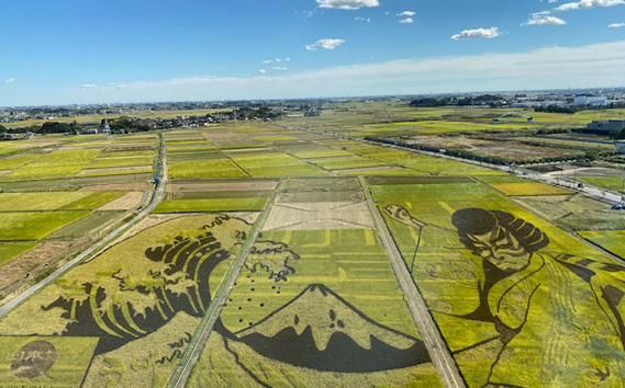 蜿、莉」闢ョ莨夐、ィ繝サ螟憺俣迚ケ蛻・髑題ウ槫虻縲懷ア墓悍螳、縺九i螟墓律縺ィ螟懈勹繧定イク蛻縺ァシ√ No.338