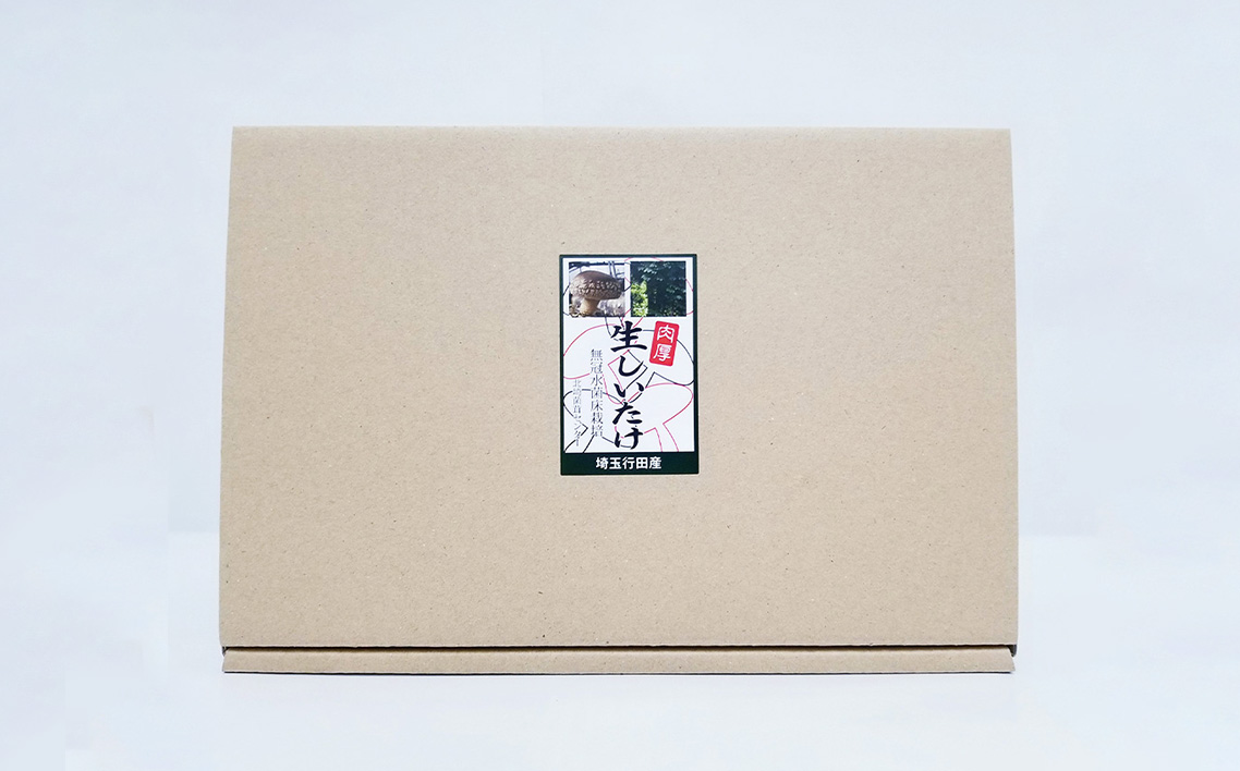 行田産こだわり生椎茸　約900g No.135