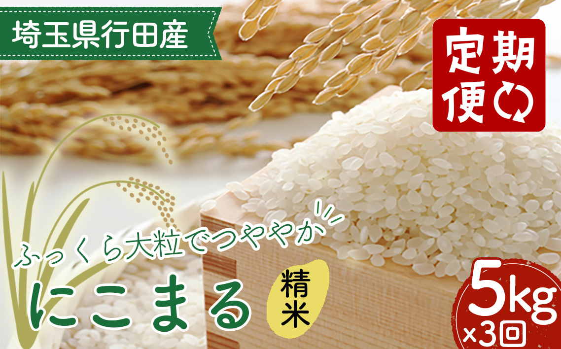 【3カ月連続定期便】埼玉県行田産にこまる（精米）5kg×3回 ／ 定期購入 定期的 毎月届く 毎月配送 にこまる 白米 精米 5kg 特別栽培米 大粒 米 甘み 粘り 精米したて 冷めても美味しい お弁当 おにぎり 毎日食べる米 粒立ち 埼玉県 No.521