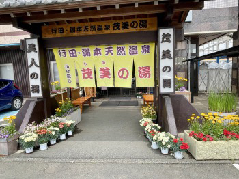 闌らセ弱ョ貉ッ蜈・豬エ縺疲魚蠕蛻ク No.504