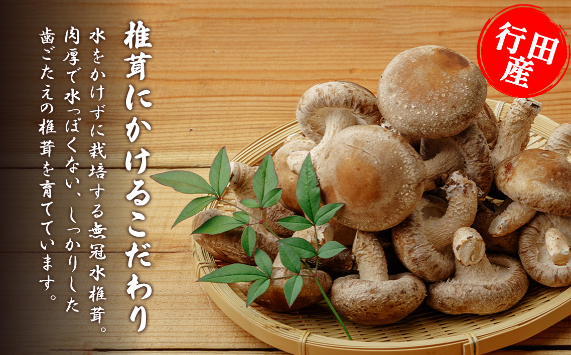 行田産こだわり生椎茸　約1.04kg No.004