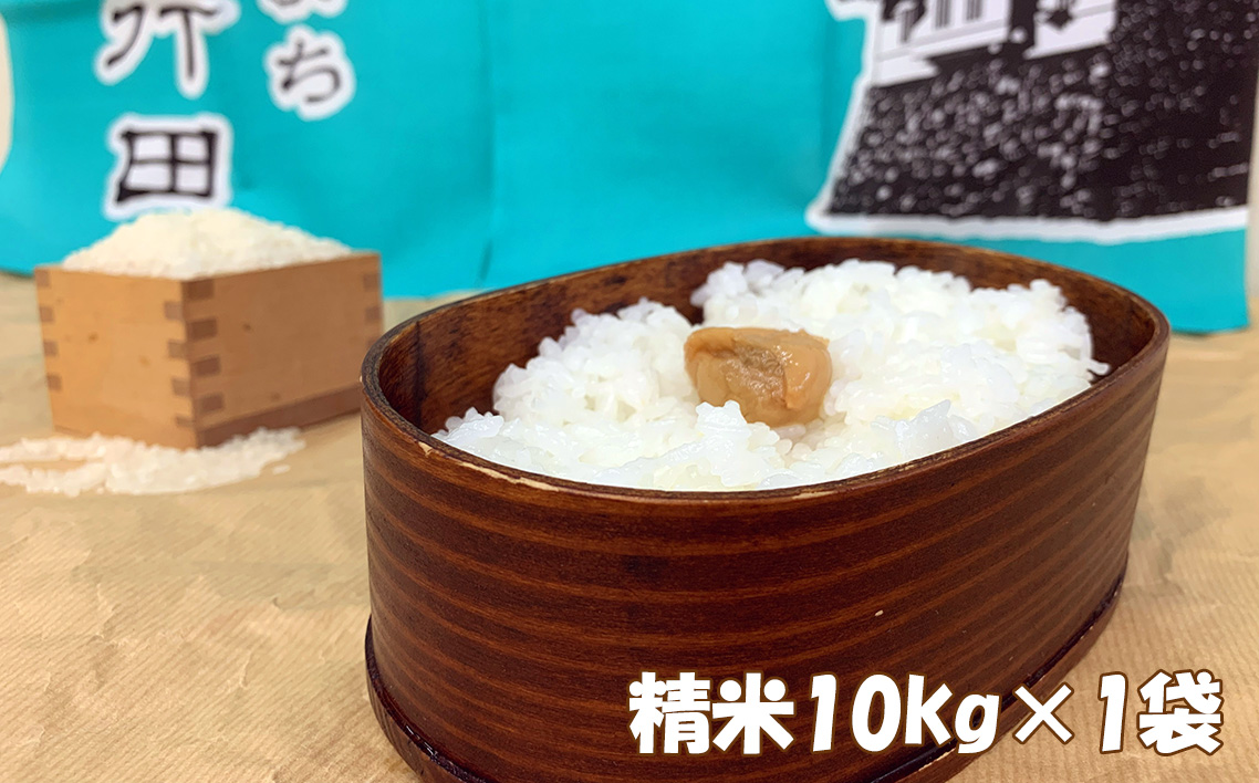 行田のお米　忍城献上米10kg［むかさ商店］ No.049