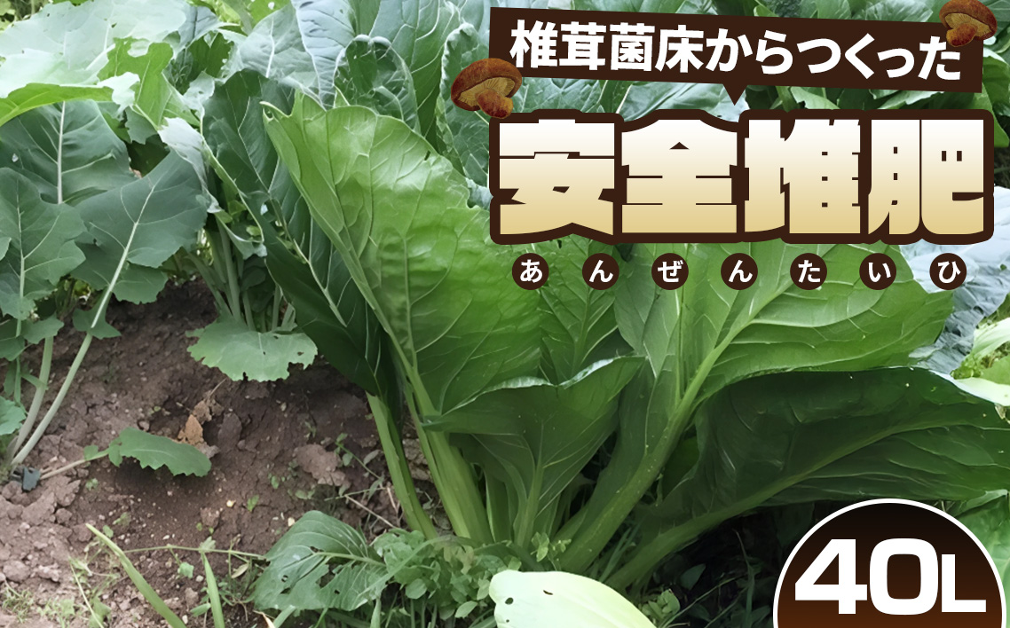 椎茸菌床からつくった安全堆肥　40L No.164