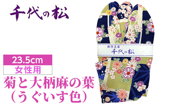 菊と大柄麻の葉（うぐいす色）（女性用：23.5cm） No.373-03