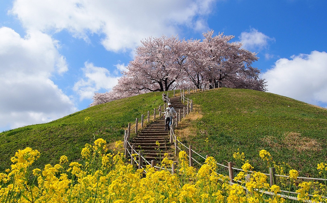 芳å
ã¿ã¯ã·ãŒã§è¡ãïŒ6æéè¡ç°æºå«ãã«ã³ãŒã¹ïŒ2åæ§ïŒ No.492