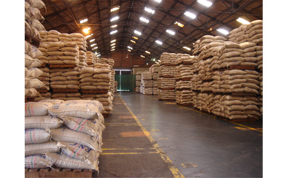 自家焙煎珈琲　クリアセット　キリマンジャロAA/コロンビアスプレモ（豆のまま） No.464-01