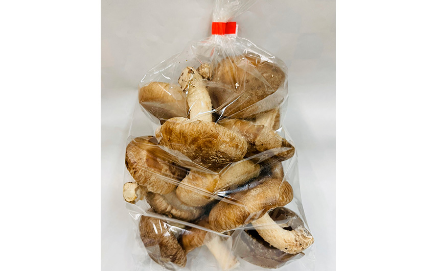 訳ありでも美味しい！自然の恵み生椎茸720g No.467