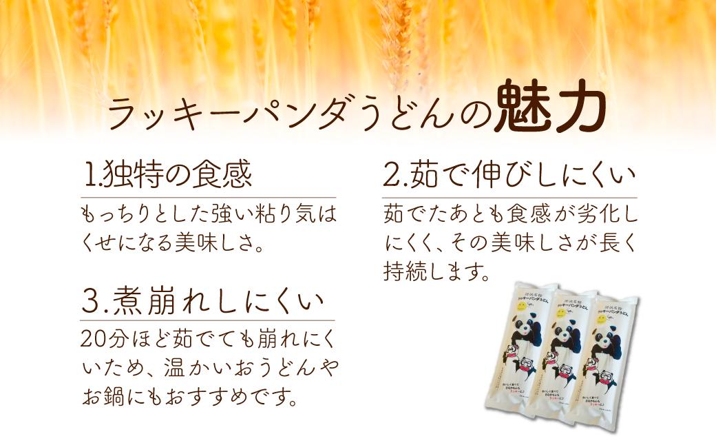 うどん ラッキーパンダうどん 36食セット (3束×12袋) | うどん 饂飩 乾麺 麺 麺類 国産 国内産小麦使用 あやひかり もっちり つるっこ 食品 ラッキーパンダ おすすめ 人気 ぎふとるうむ山畑 埼玉県 所沢市