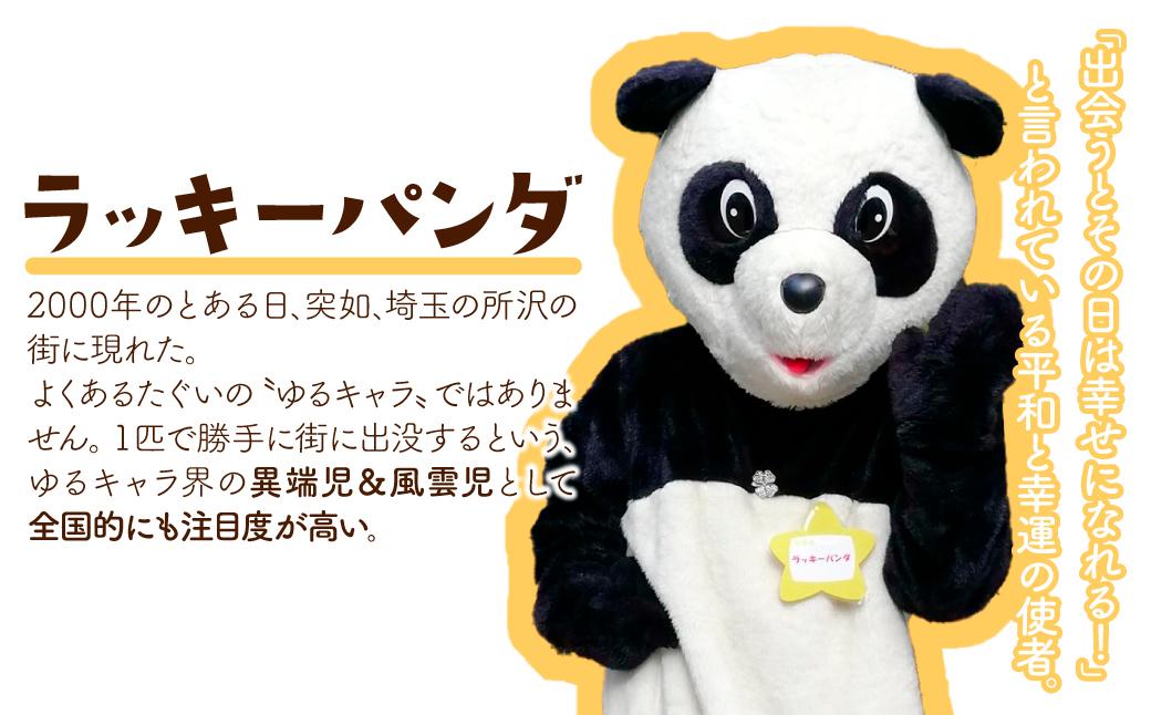 うどん ラッキーパンダうどん 60食セット (3束×20袋) | うどん 饂飩 乾麺 麺 麺類 国産 国内産小麦使用 あやひかり もっちり つるっこ 食品 ラッキーパンダ おすすめ 人気 ぎふとるうむ山畑 埼玉県 所沢市