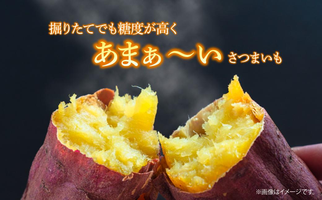 ãã€ãŸãã çŽ
ã¯ãã 5kg | ãã€ãŸãã ãµããã€ã¢ ãã€ãŸè çŽ
ã¯ãã ã¹ã«ã¯ãã çŒãè ãããã ãã ã€ã¢ éè ãã〠倩ã·ã ã¹ã€ãŒã çå³ ãã¶ãŒã å·è¶ãã æ ªåŒäŒç€Ÿããžãã« åŒçç ææ²¢åž