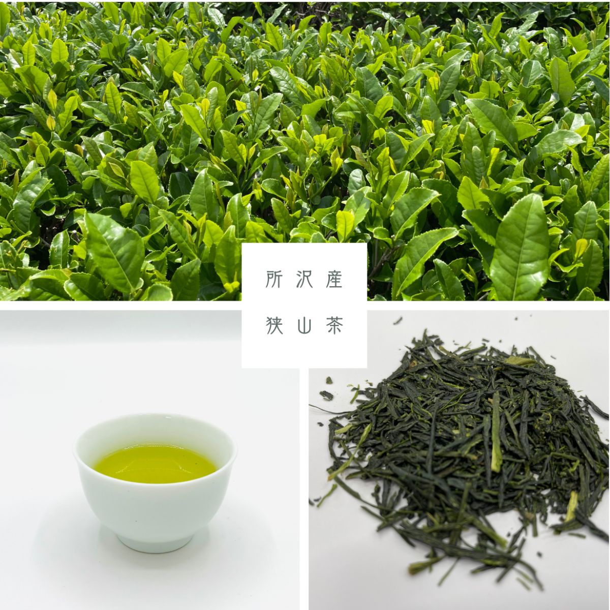 世界農業遺産認定の落ち葉堆肥農法で育てた狭山茶 特上煎茶 (深蒸し茶) 100g×1袋 平岡園 | 茶 お茶 日本茶 緑茶 狭山茶 茶葉 濃厚 コク 香り 風味 まろやか 美味しい おすすめ ギフト お土産 プレゼント 深蒸し 高級 煎茶 埼玉県 所沢市