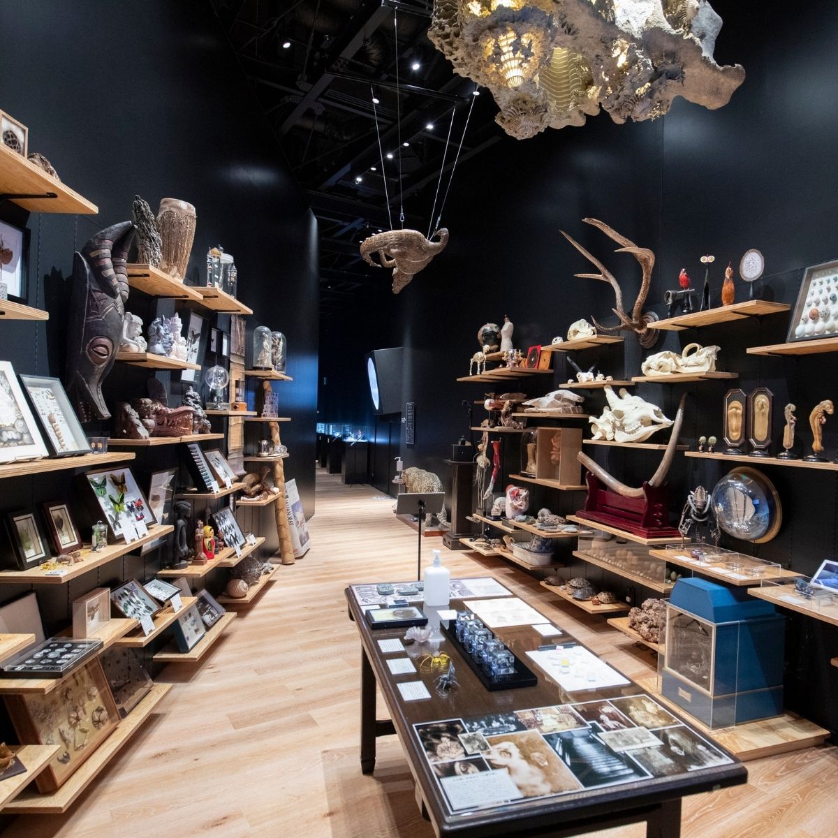 è§å·æŠèµéãã¥ãŒãžã¢ã ã¹ã¿ã³ããŒããã±ãã 1æ | ãã¥ãŒãžã¢ã ã«ãã§ ã·ã§ãã ã¬ã¹ãã©ã³ 峿žé€š çŸè¡é€š åç©é€š ã¢ãŒã æåè€åæœèš æåŠ è§å· KADOKAWA è§å·äœå æ¬æ£ æ¬æ£åå Ž æŒ«ç» ãã³ã¬ éç åŸ ãã±ãã åŒçç ææ²¢åž