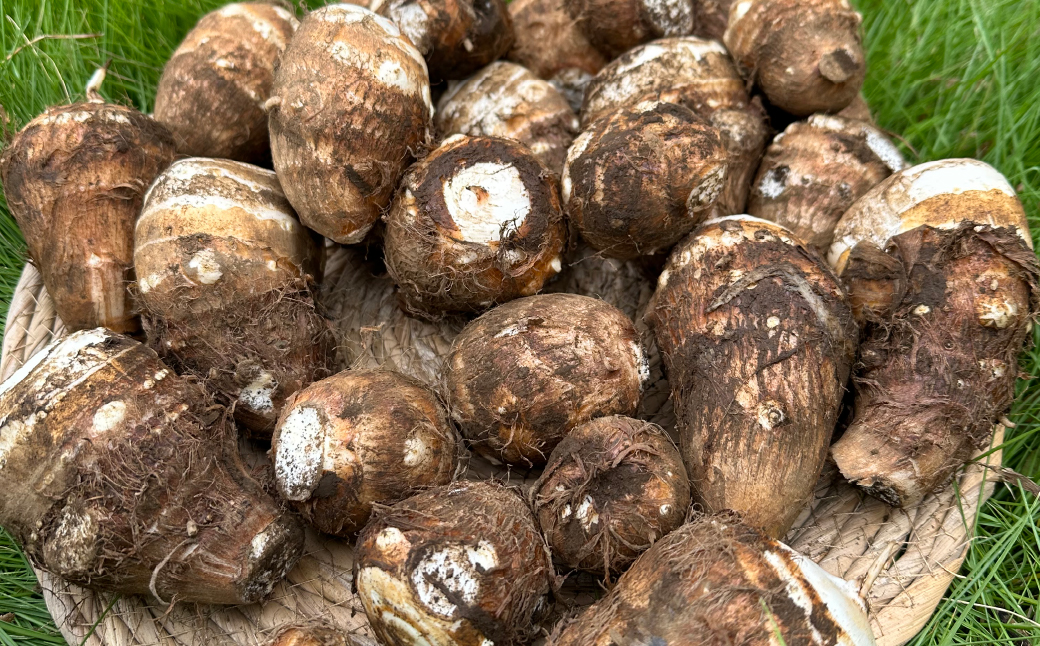 ＜定期便＞Farm Prideが育てた旬の野菜定期便 計5回 | 人参 にんじん ニンジン キャロット じゃがいも キタアカリ インカのめざめ ノーザンルビー 里芋 枝豆 野菜 緑黄色野菜 サラダ マリネ スムージー スティック 料理 煮物 カレー シチュー ジュース カロテン ビタミン 産地直送 おいしい おすすめ 埼玉県 所沢市