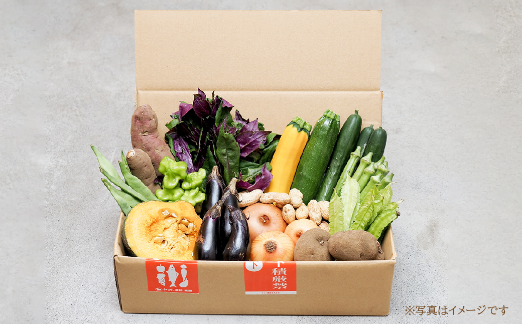 ＜3ヵ月定期便＞農業遺産認定農家 陽子ファームの旬の野菜詰め合わせ7種~8種 | 野菜 季節の野菜 旬の野菜 新鮮野菜 産地直送 有機 オーガニック 定期便 フレッシュ セット 詰め合わせ サラダ 料理 炒め物 煮物 スムージー 旬 おいしい 安全 安心 お取り寄せ ギフト おすすめ 世界農業遺産 埼玉県 所沢市